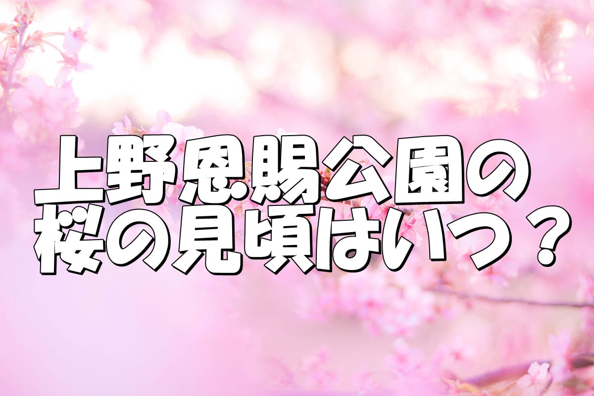 22 上野恩賜公園の桜のライトアップは Share Style