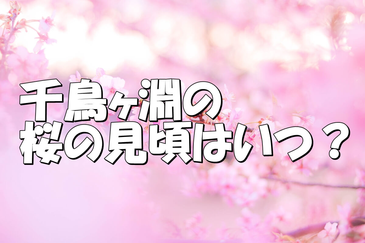 2021 千鳥ヶ淵の桜の開花状況に見頃は トイレやバリアフリーの設備は大丈夫 ライトアップは Share Style