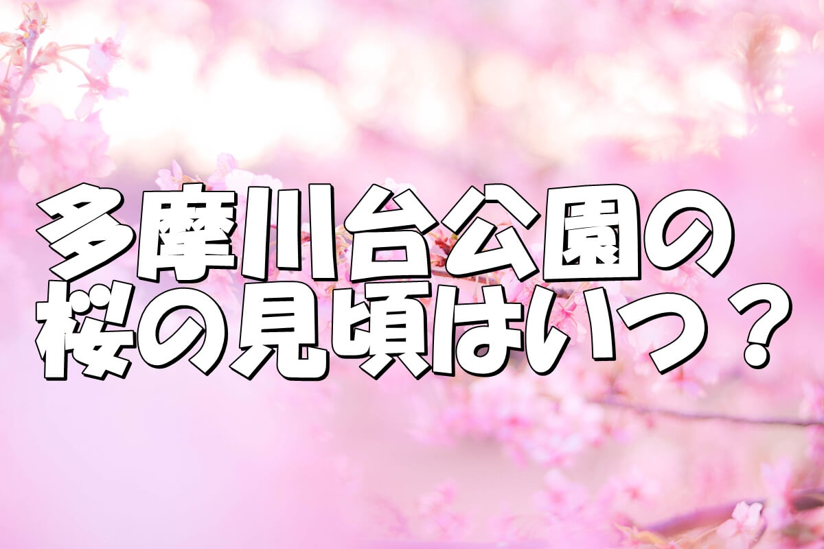 22 多摩川台公園の桜の開花状況に見頃は トイレやバリアフリーの設備は Share Style